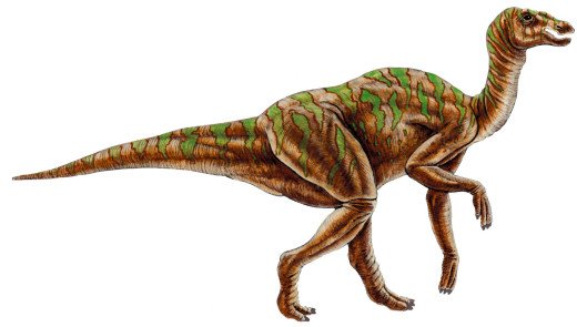 1753688 (a): :2354x1335